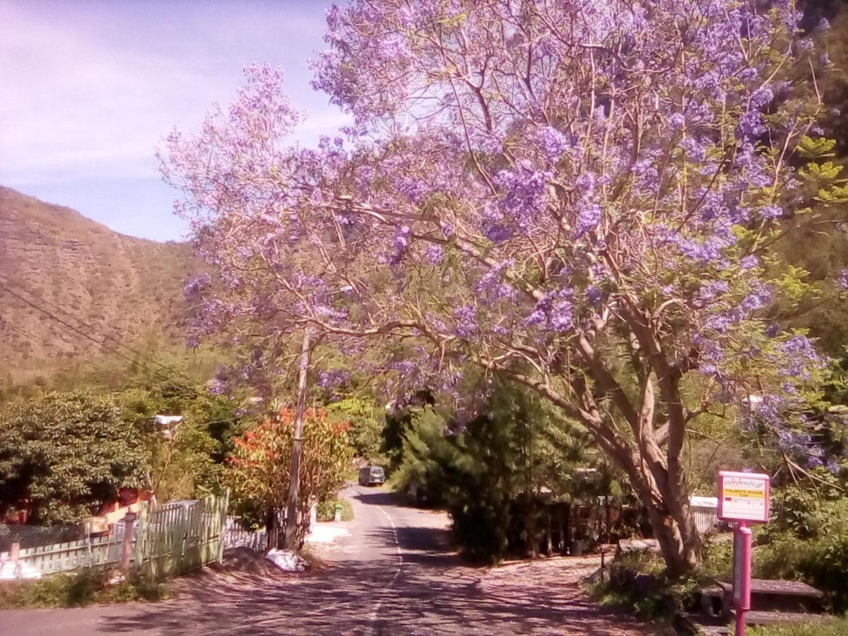 Auberge Du Cap Cilaos Buitenkant foto